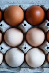 Chicken eggs are arranged in a gradient color tone and gold color in eco cartoon