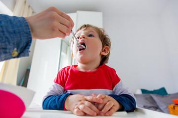 Obraz premium mother feeds a little toddler boy with a spoon during lunch in the room.