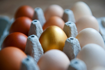 Chicken eggs are arranged in a gradient color tone and gold color in eco cartoon