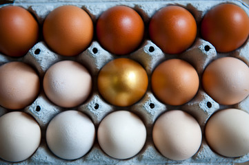 Chicken eggs are arranged in a gradient color tone and gold color in eco cartoon