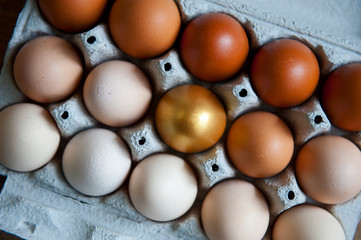 Chicken eggs are arranged in a gradient color tone and gold color in eco cartoon