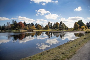Reflections of autumn colors and blue sky with clouds on lake Moana-nui and dam in Tokoroa, South...