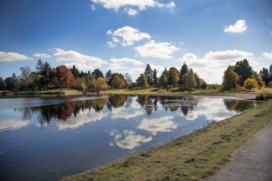Reflections of autumn colors and blue sky with clouds on lake Moana-nui and dam in Tokoroa, South Waikato, New Zealand. Sunny day in Autumn, orange leaves on deciduous trees and evergreen NZ natives