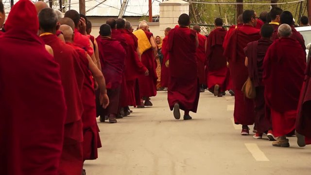 Close up still shot of monastery monks, wearing maroon and yellow robs, systematically walking on a line along a tarmac ked road Ladakh monastery. 