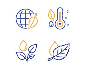 Thermometer, Plants watering and Environment day icons simple set. Leaf sign. Grow plant, Water drop, Safe world. Nature leaves. Nature set. Linear thermometer icon. Colorful design set. Vector