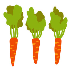Collection of carrots in the style of flat design isolated on white background