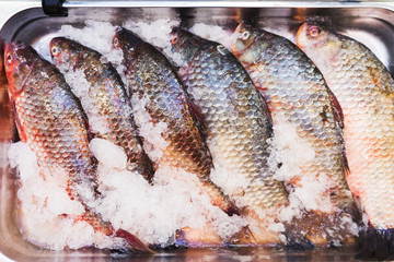 Fresh chilled fish on the counter in the fridge on a small farmer's fishing market