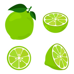 Colorful whole, half and slice lime with green leaf. Vector illustration isolated on white background.