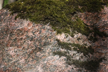 view of granite stone and moss  