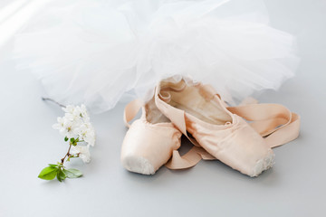 Ballet pointe shoes and white tutu skirt on gray background with blooming sakura flowers. Concept of dance, spring, ballet school, ballerina's clothes, stuff and things.