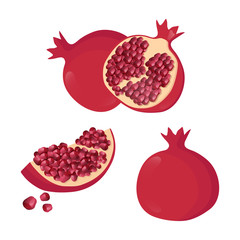 Flat vector set of sliced and whole pomegranates. Organic and tasty fruit full of juicy seeds. Natural food.