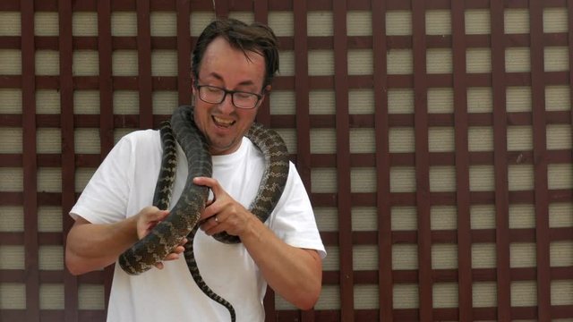 Caucasian male holds a python around his neck for the first time. The snake moves up to the mans face. Man looks nervous. COPY SPACE.