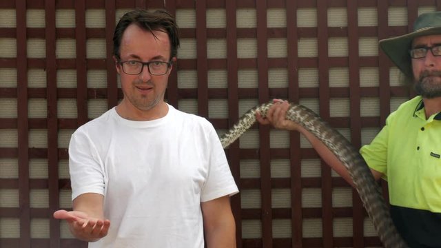 Snake handler wraps a large python snake around a white males. Man looks anxious. COPY SPACE.