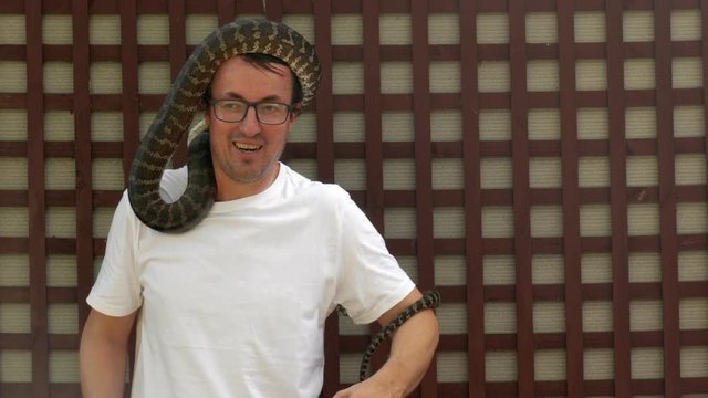Caucasian male has a python placed on his head for the first time. Man looks uncomfortable and scared. COPY SPACE.