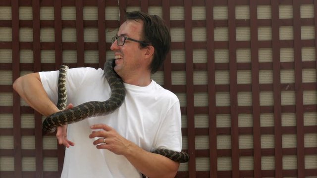 Caucasian male holds a python around his neck for the first time. The snake weaves its way up over the mans shoulder. COPY SPACE.