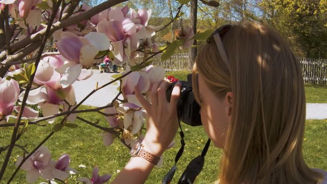 Woman takes close-up pictures of a tree full of flowers in the sunlight