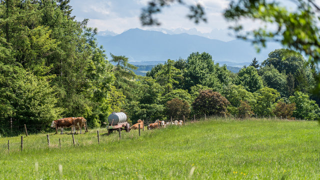 Stranberger See Fr&uuml;hling, Landschaft