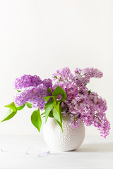 beautiful lilac flowers in vase on white background
