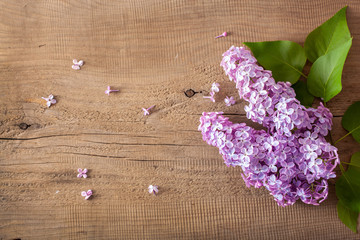 beautiful lilac flowers on wooden background