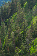 Obraz premium Herzogstand, Heimgarten, Walchensee