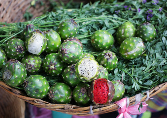 Exotic and delicious cactus fruit pitaya colourful and tasty 