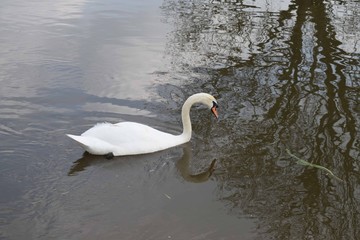 Canal boating views