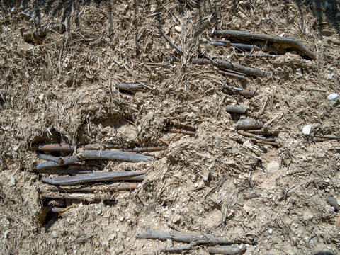 Fragment of the wall, made of wood branches with earthen plaster - Powered by Adobe