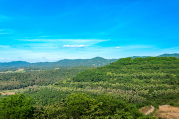 Fototapeta na wymiar forest landscape : view of hills and mountain range full of green tree and clear blue sky.