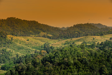 Fototapeta na wymiar forest landscape : view of hills and mountain range full of green tree