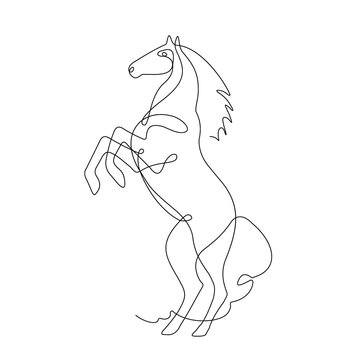 Horse reared, one line drawing,continuous line , contour