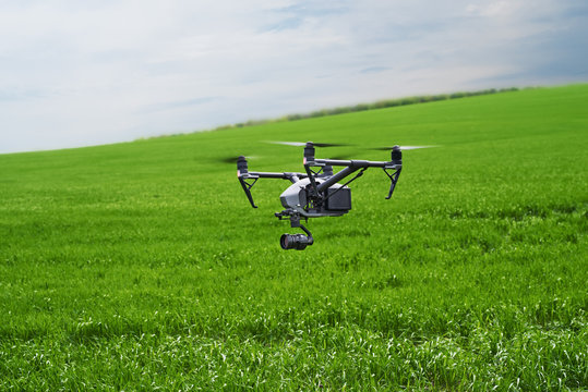 Quadcopter with camera flying over field. Photography quadcopter drone hovering over young green sprouts of wheat plants in a field. Smart agriculture concept.