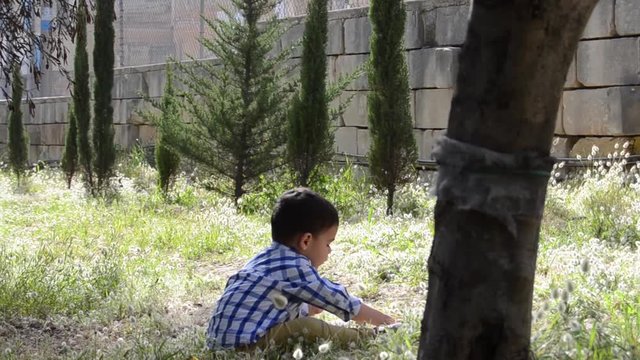 Cute two years old boy playing in the park. sitting in the grass and picking up branches