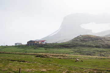 farmer's house in a mountainous area, with grazing sheep