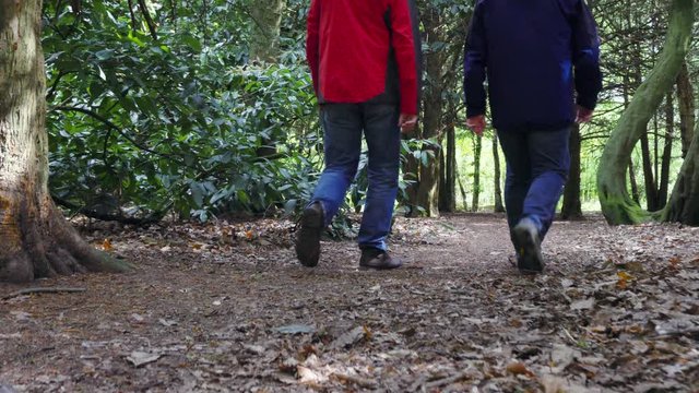 Slow Motion Footage Of Two Men Walking Away From Camera In A Forested Area.