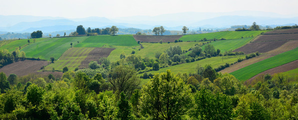 landscape with hills and trees