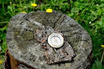 A compass is an instrument used for navigation and orientation that shows direction relative to the geographic cardinal directions