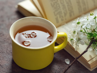 Spring blooming branch of cherry , a Cup of tea and a book
