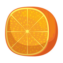 fresh tangerine half citrus fruit