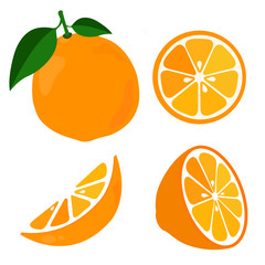 Bright vector set of colorful half, slice and segment of juicy orange.