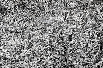 copyspace background texture from ash gray black ash from branches very beautiful