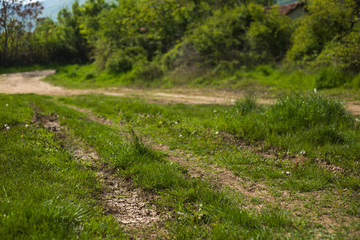 A trail in a forest at the foot of a mountain