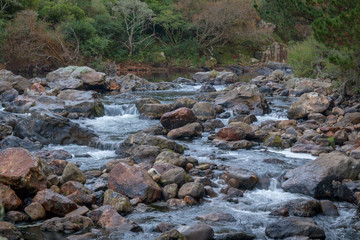 stream in the forest