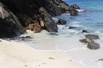 food halloween beach animals gourmet wedding