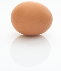 chicken egg on a white background close-up