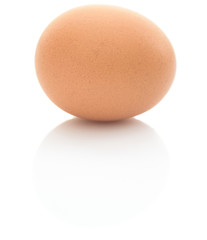 chicken egg on a white background close-up