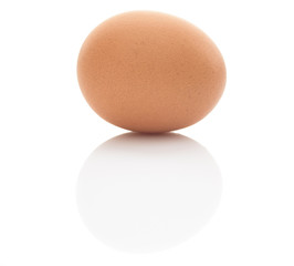 chicken egg on a white background close-up