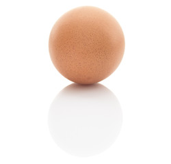 chicken egg on a white background close-up