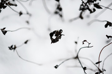 Winter moment