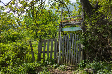 An old wooden door and a fence in a forest
