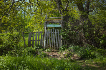 An old wooden door and a fence in a forest